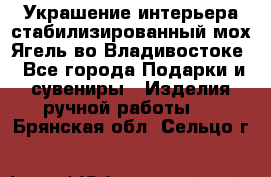 Украшение интерьера стабилизированный мох Ягель во Владивостоке - Все города Подарки и сувениры » Изделия ручной работы   . Брянская обл.,Сельцо г.